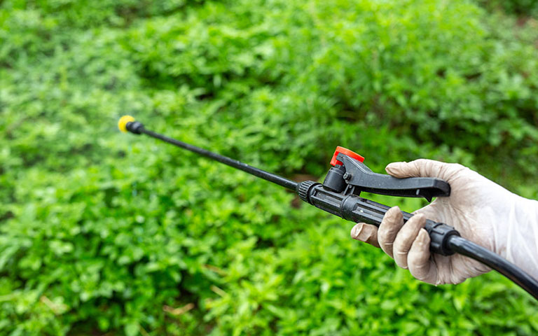 En KREO Jardiner&iacute;a puedes comprar productos Fitosanitarios y productos para Control de Plagas en Jardines, Huertos, Cultivos y Terrazas, contacta con nuestros expertos