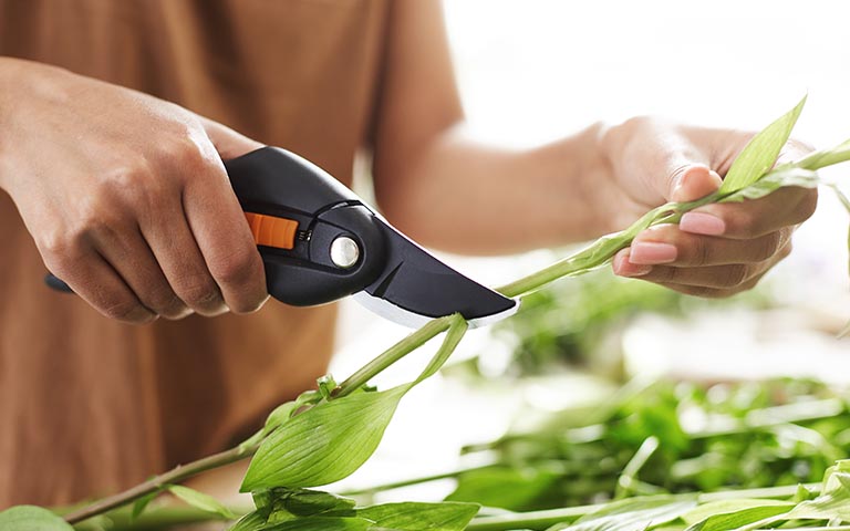 Compra Herramientas para huerta y jardiner&iacute;a para el mantenimiento de jardines, huertos y terrazas, en KREO Jardiner&iacute;a tenemos el mejor material para jardineros
