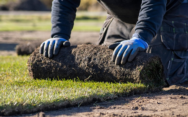 En la tienda online de KREO Jardiner&iacute;a encontrar&aacute;s un cat&aacute;logo especializado para la siembra y plantaci&oacute;n de jardines, compra tus tierras y sustratos especializados, c&eacute;sped artificial, c&eacute;sped natural y semillas