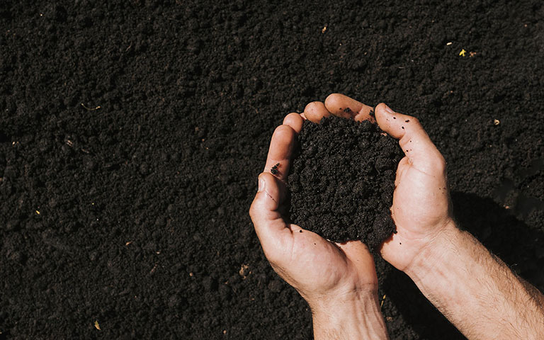 En KREO Jardiner&iacute;a te ofrecemos un amplio cat&aacute;logo de Tierras y Sustratos para la creaci&oacute;n y mantenimiento de Jardines, Huertos y Terrazas
